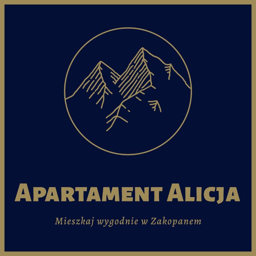 Apartament Alicja, Scisle Centrum, Orkana 3 자코파네 외부 사진